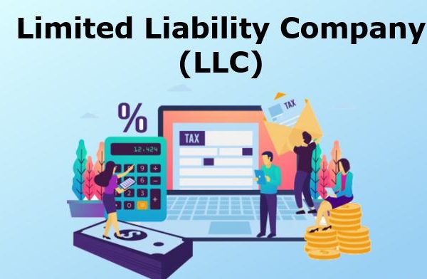 Is It The Right Decision For Me To Take-In At The LLC-Limited Liability Company?