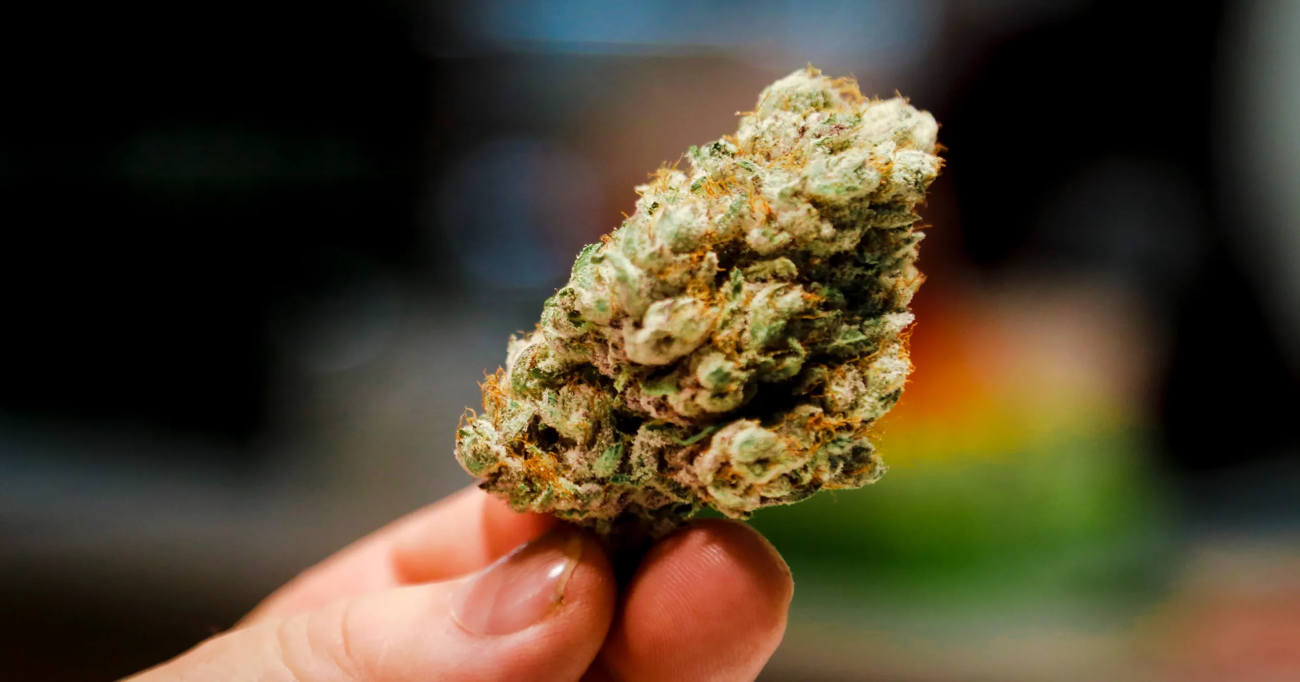 Buying Weed Online: 7 Tips For Beginners