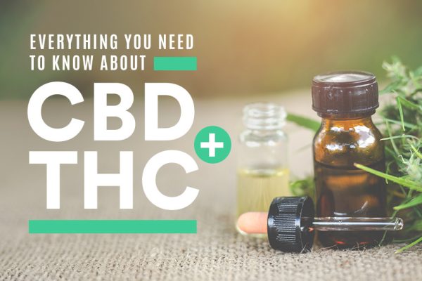 The Ultimate Guide to THC Detox: Everything You Need to Know
