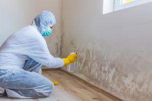 The Ultimate Guide To Mold Remediation: Protecting Your Home