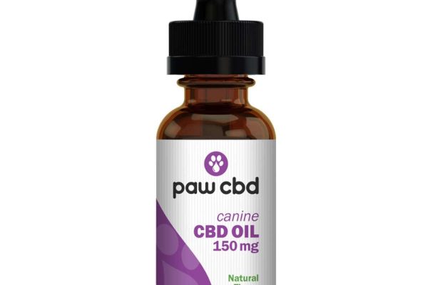 A Beginner’s Guide To CBD Oil And Its Benefits